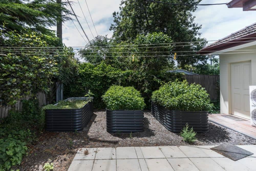 3 Bdrm 2 Bthrm House Close To Canberra Cbd & Anu Bagian luar foto